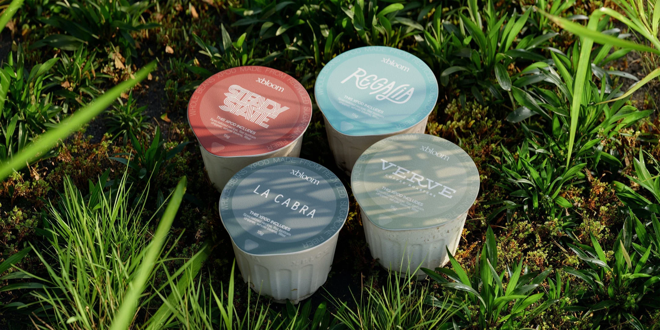 Surprise Discovery - Image 2