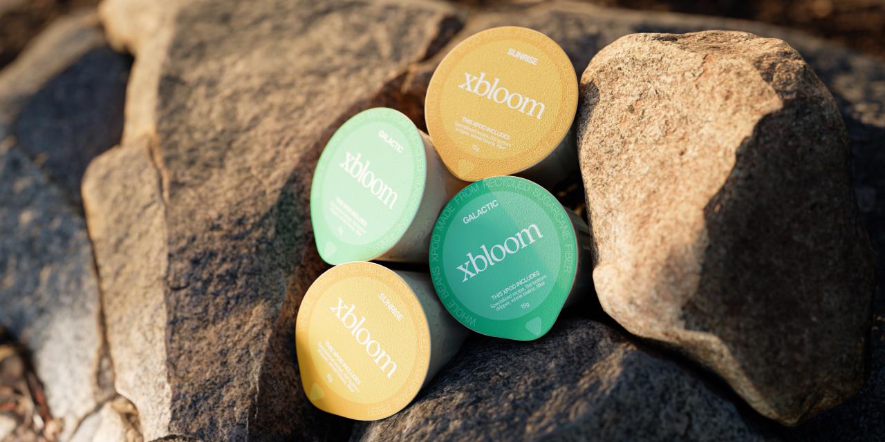 xBloom's Pick - Image 2